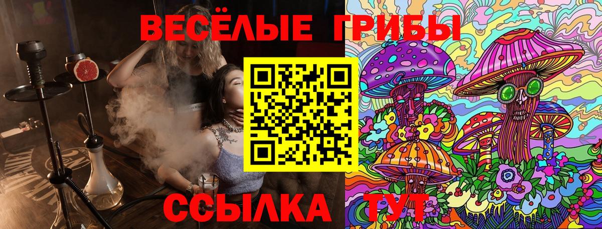 Северобайкальск  Галлюциногенные грибы ЛСД  Вход с VPN 